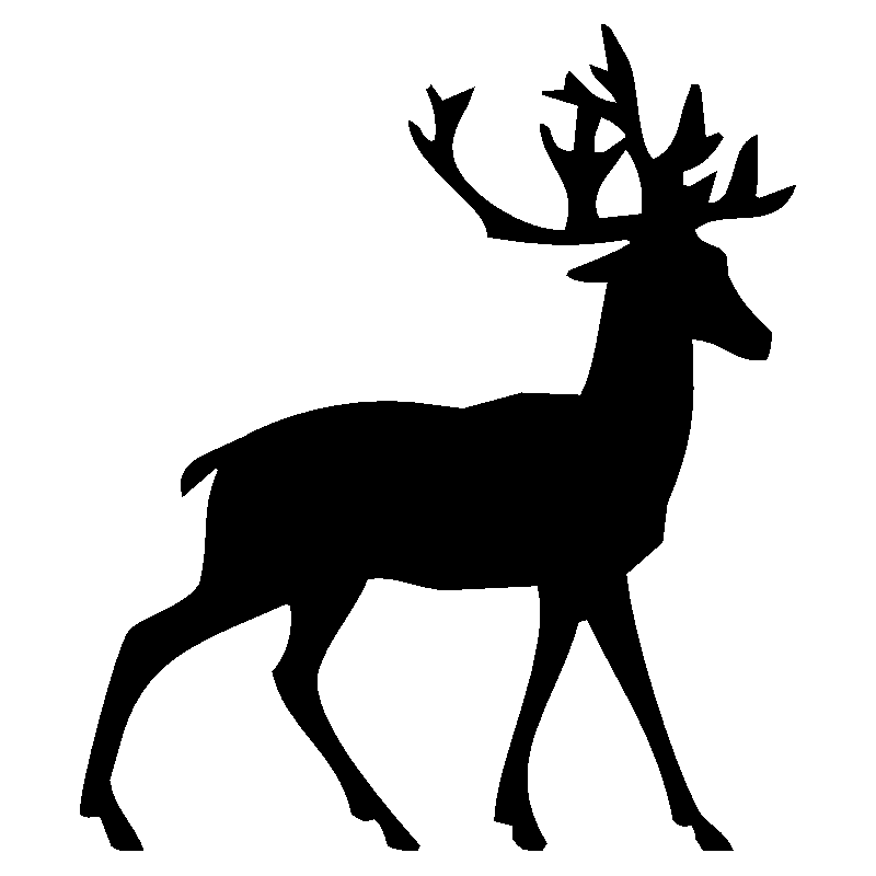 cerf6