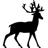 cerf6