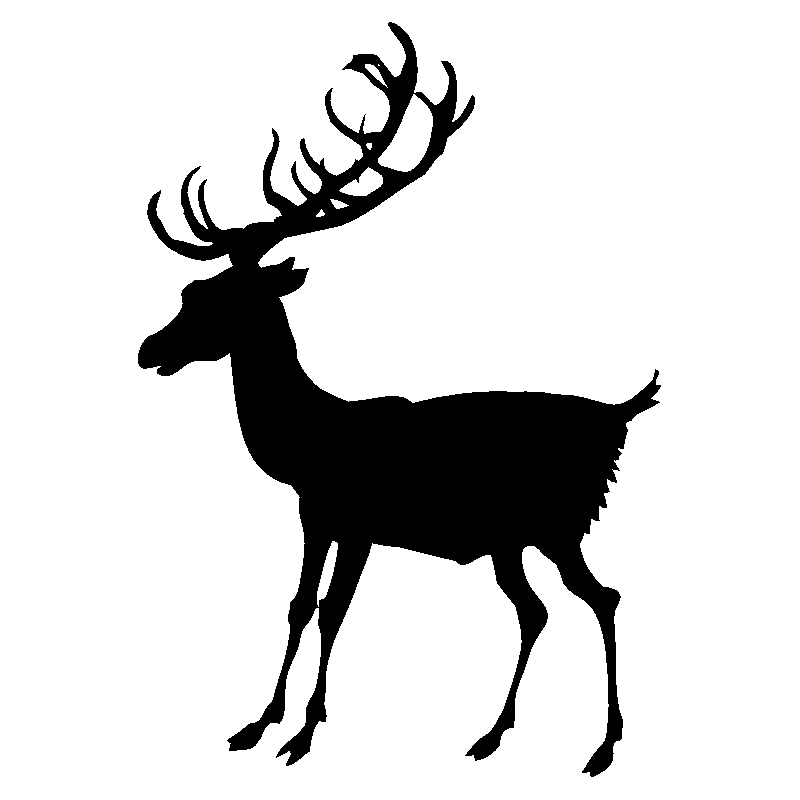 cerf7