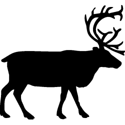 cerf8