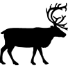cerf8