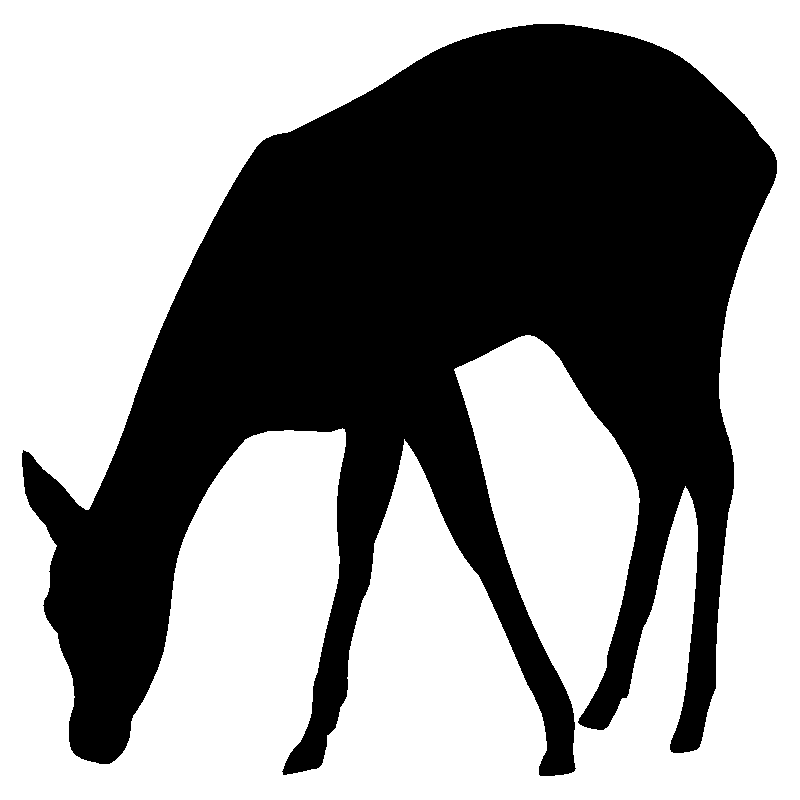 biche1