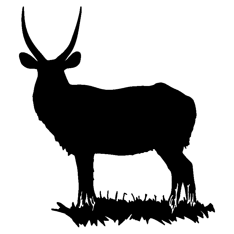 cerf9