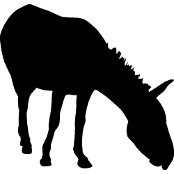 cheval35