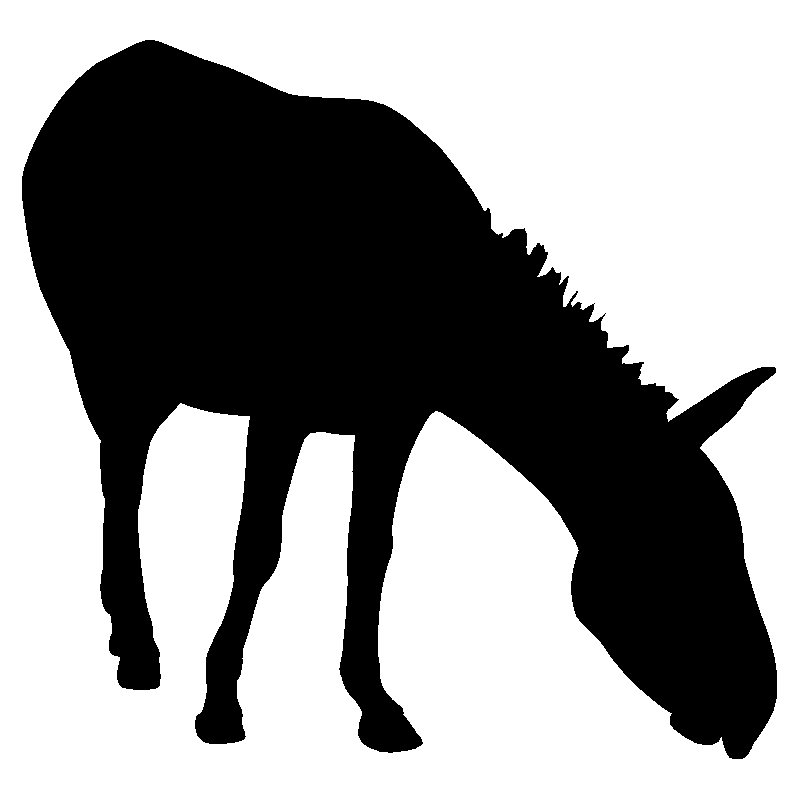 cheval35