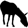 cheval35