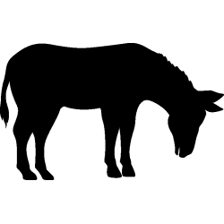 cheval36