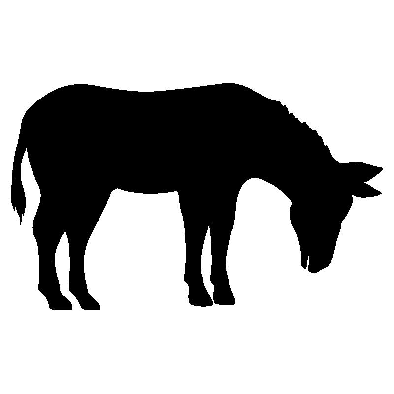 cheval36