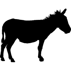 cheval37