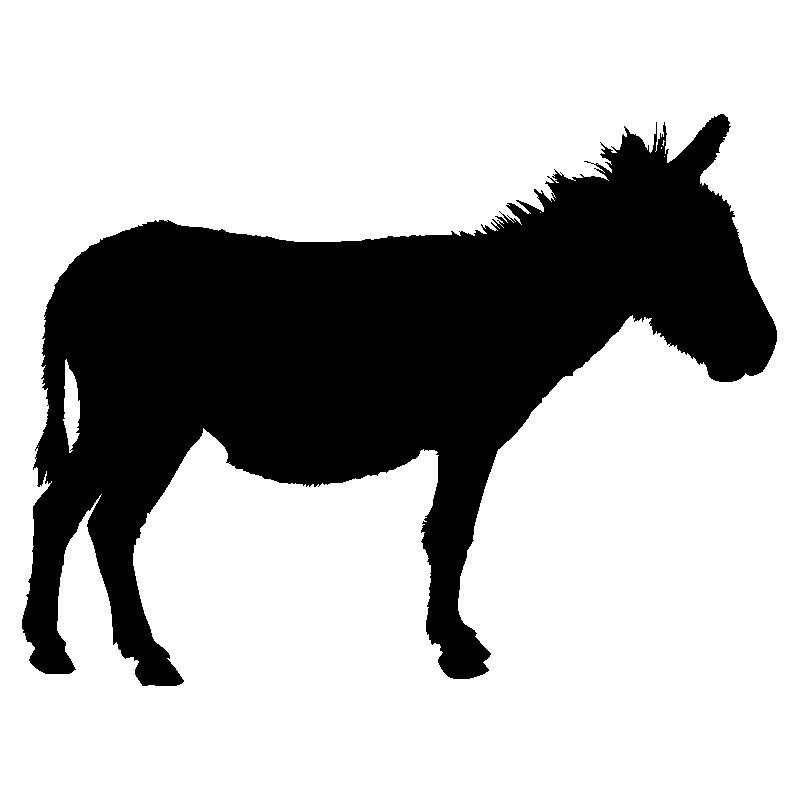 cheval37