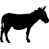 cheval37