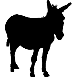 cheval38