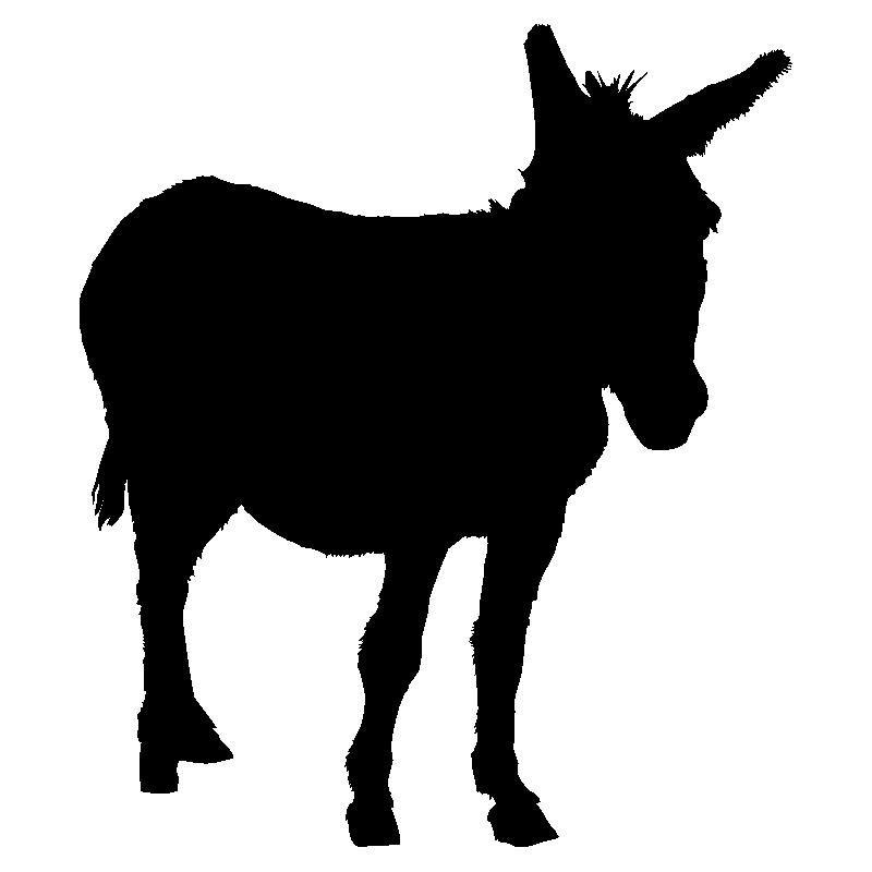 cheval38