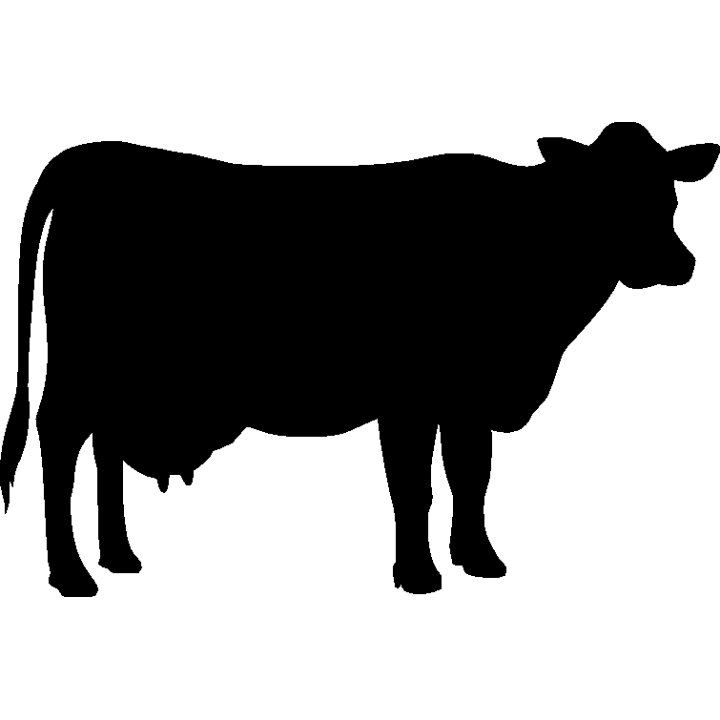 vache3