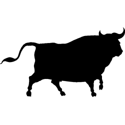 taureau3