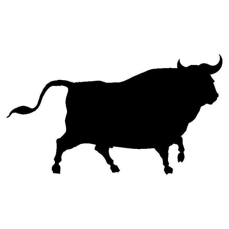 taureau3