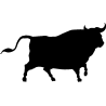 taureau3