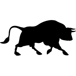 taureau4