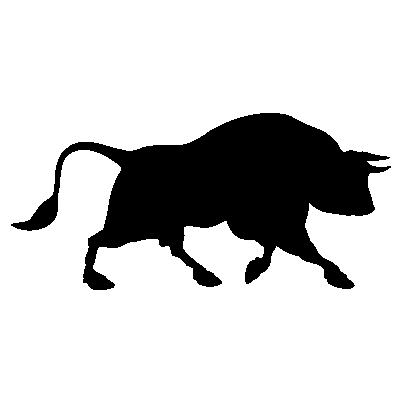 taureau4