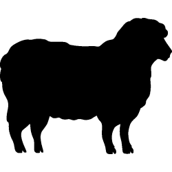 mouton1