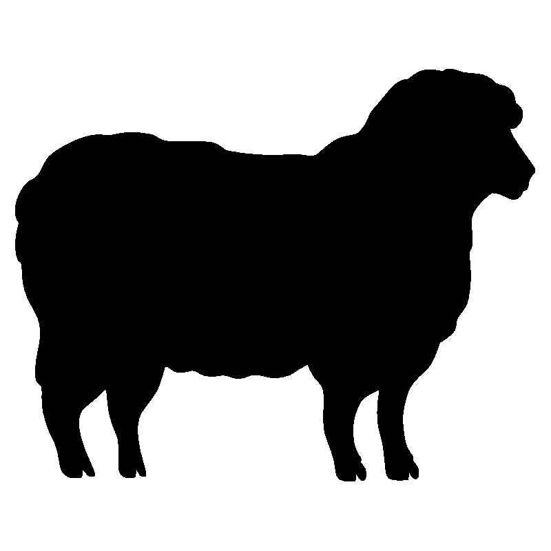 mouton1
