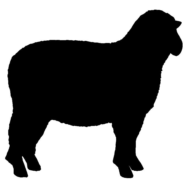 mouton2