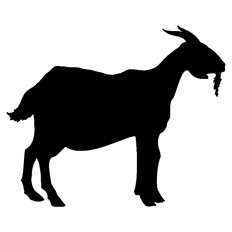 chevre1