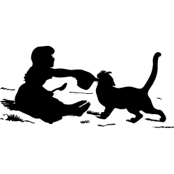 deco 300