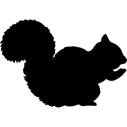 ecureuil1