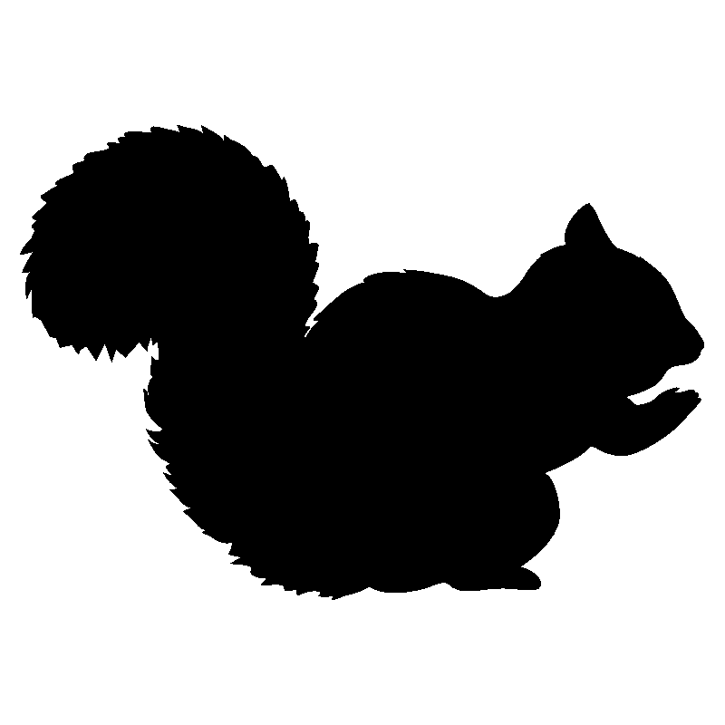 ecureuil1