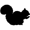 ecureuil1