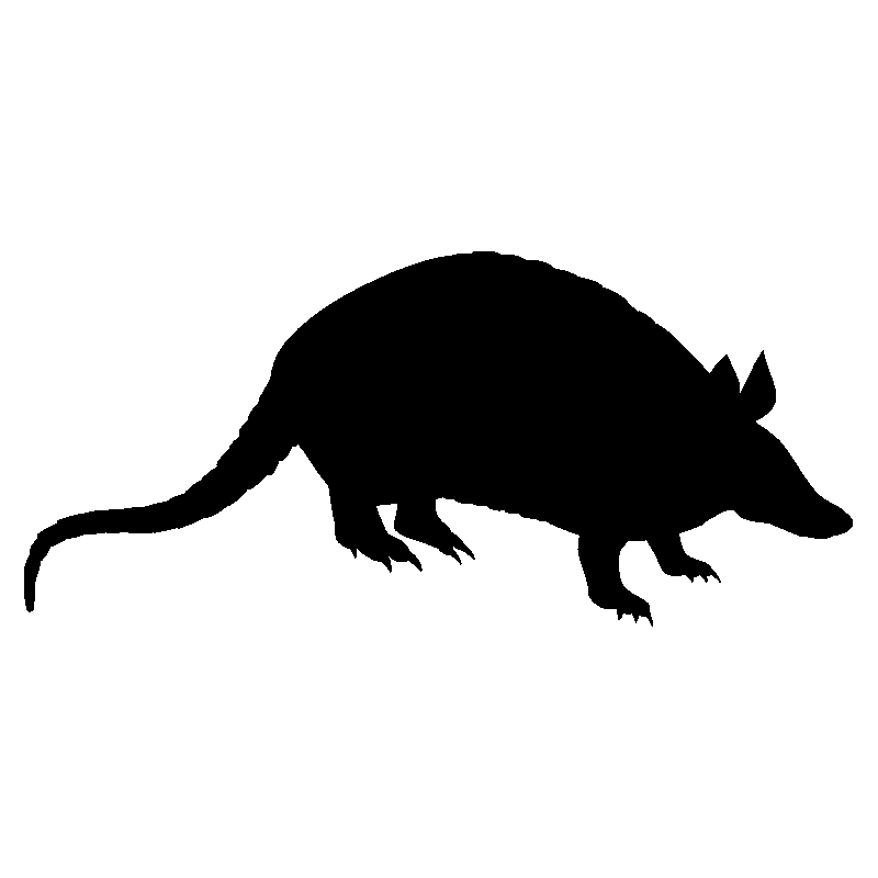 rat1