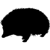 herisson1