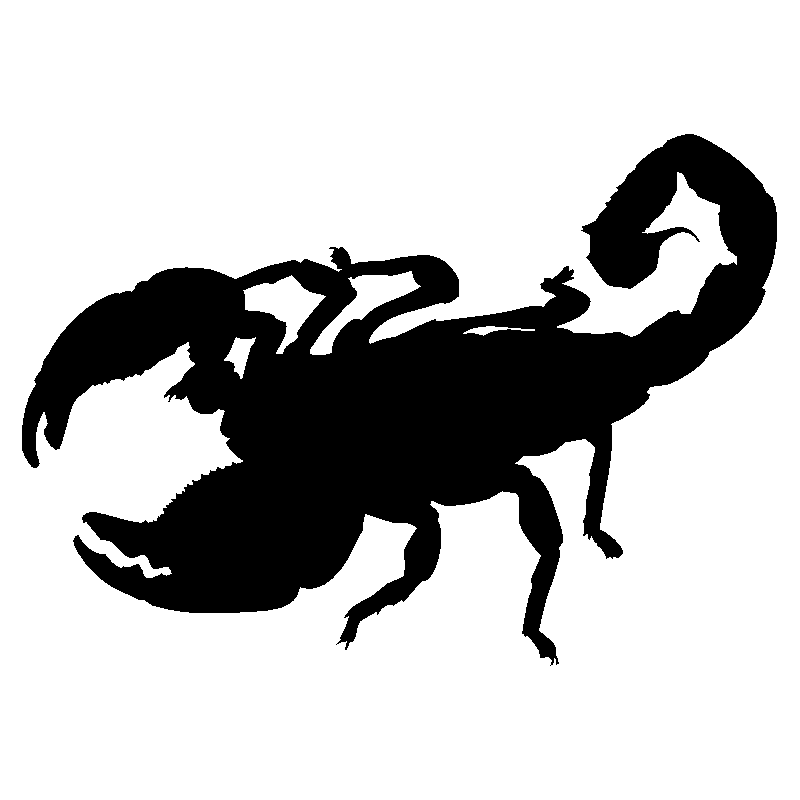 scorpion1