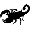 scorpion1