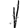 design floral