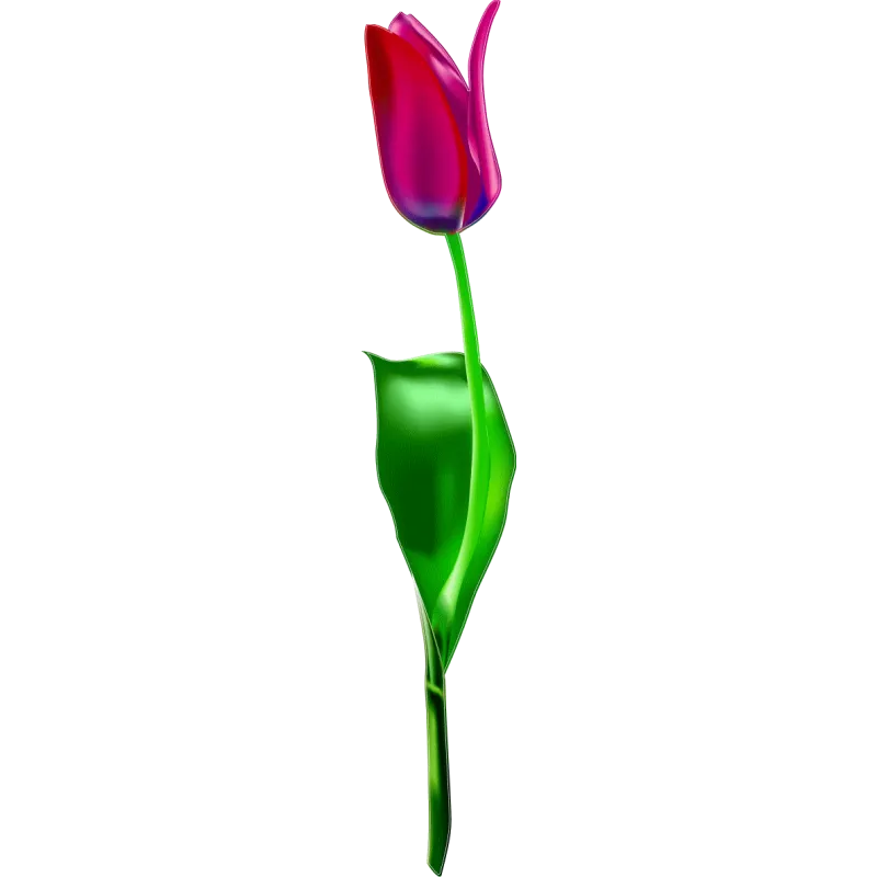 fleur n838