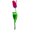 fleur n838