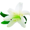 fleur n839