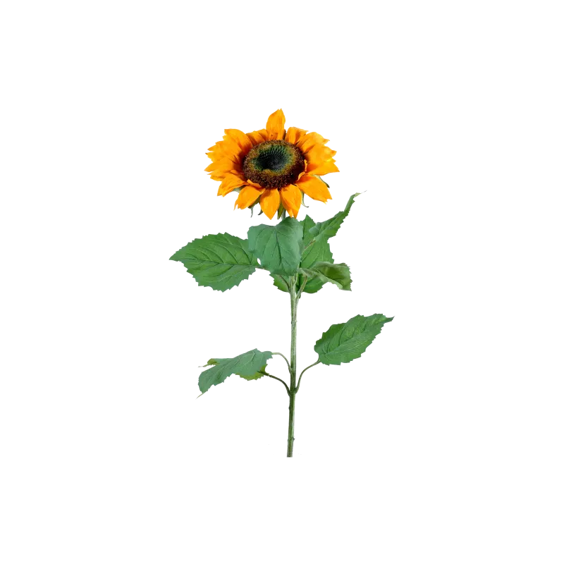 Vase tournesol