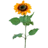 Vase tournesol