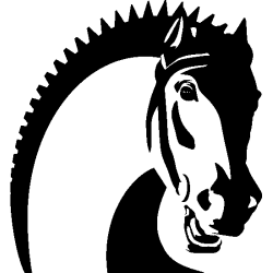 Tete cheval