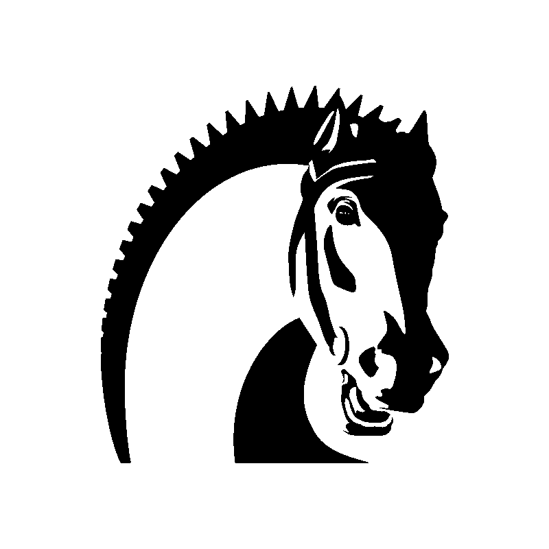 Tete cheval