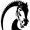Tete cheval