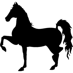 cheval et cavalier