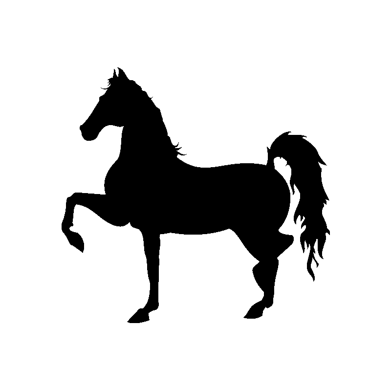 cheval et cavalier