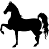 cheval et cavalier