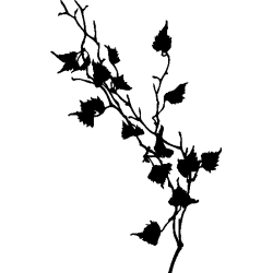 design floral