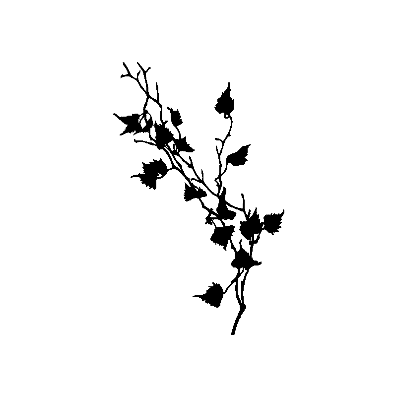design floral