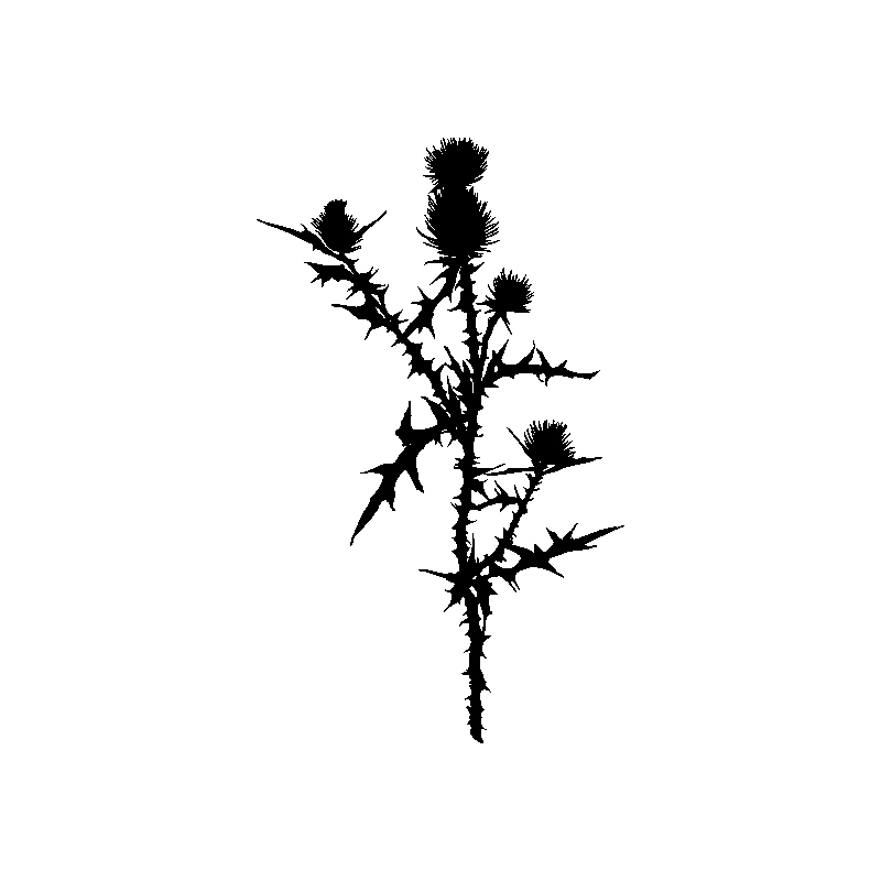 fleurs design 2